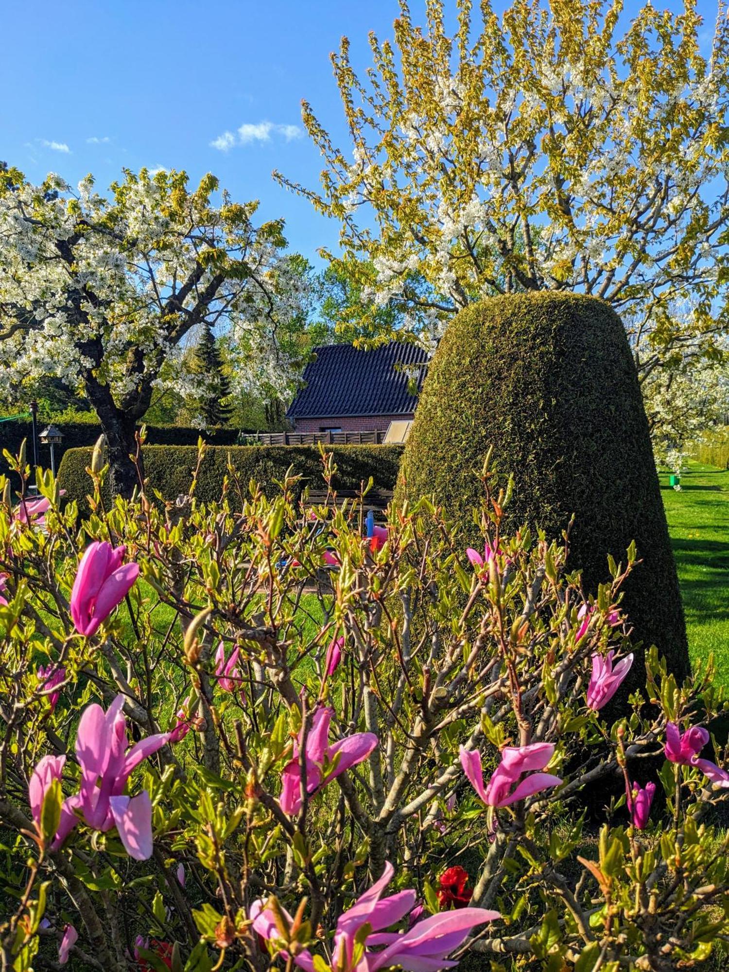 Haeuschen Im Gruenen Villa Jornstorf ภายนอก รูปภาพ