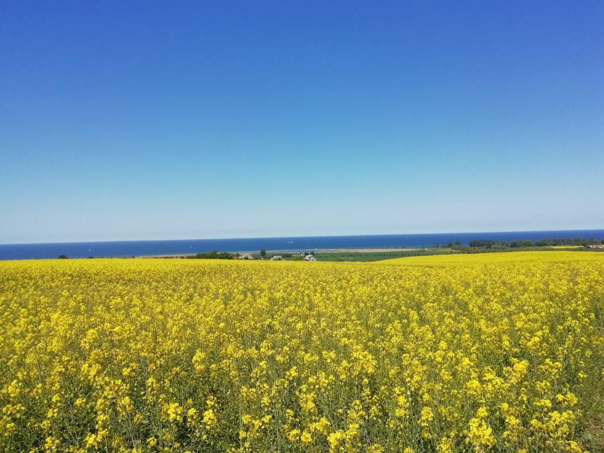 Haeuschen Im Gruenen Villa Jornstorf ภายนอก รูปภาพ