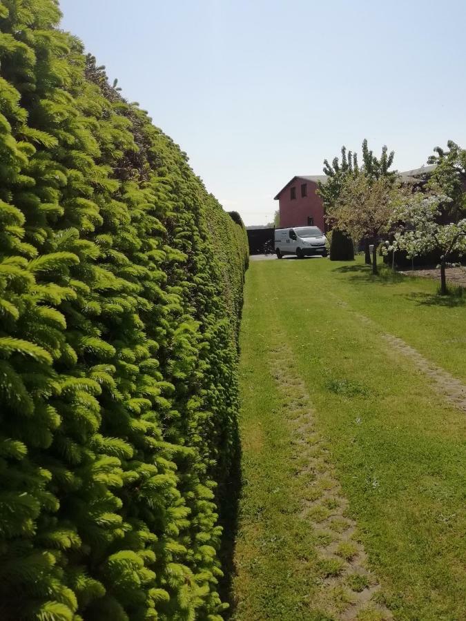 Haeuschen Im Gruenen Villa Jornstorf ภายนอก รูปภาพ